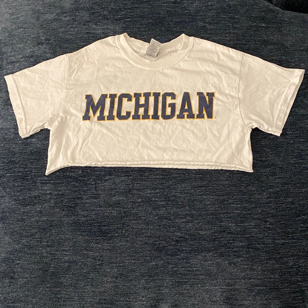 Michigan Crop Top T-Shirt (umich)